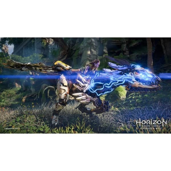 Horizon Forbidden West PS4-spel