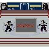 WCW Mayhem Gameboy Color (Brukt)