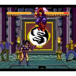 Double Dragon V The Shadow Falls Super Nintendo SNES EUR (Brukt)