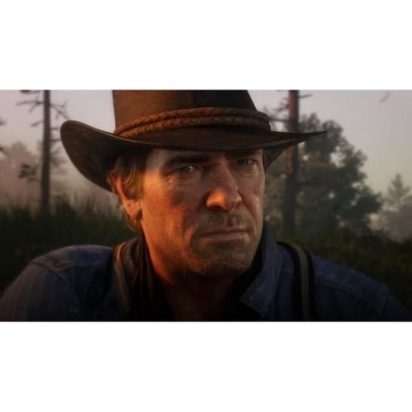 Red Dead Redemption 2 PS4-spel- USED