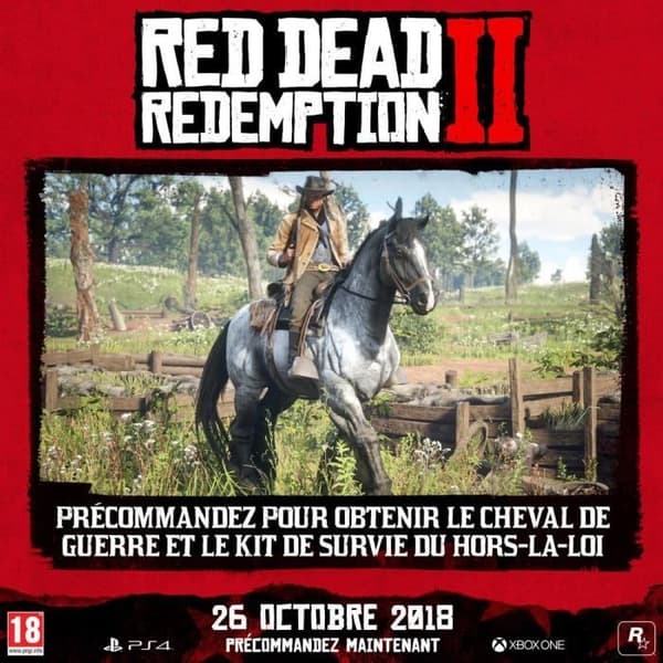 Red Dead Redemption 2 PS4-spel- USED