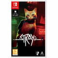 Miniatyrbillede 1 af 6: Videospil til Switch Just For Games Stray