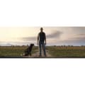 Miniatyrbild 2 av 6: Farming Simulator 19 PS4-spel