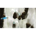 Miniatyrbild 6 av 6: Max - The Curse of Brotherhood Game Switch- USED