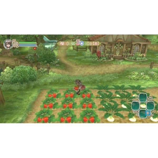 RUNE FACTORY FRONTIER / Wii-SPEL- USED