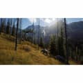 Miniatyrbillede 4 af 6: Xbox Series X spil THQ Nordic Wild Expeditions (FR)