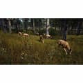 Miniatyrbillede 5 af 6: Xbox Series X spil THQ Nordic Wild Expeditions (FR)