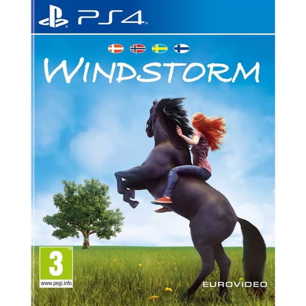 Windstorm (PS4) (Fyndvara)