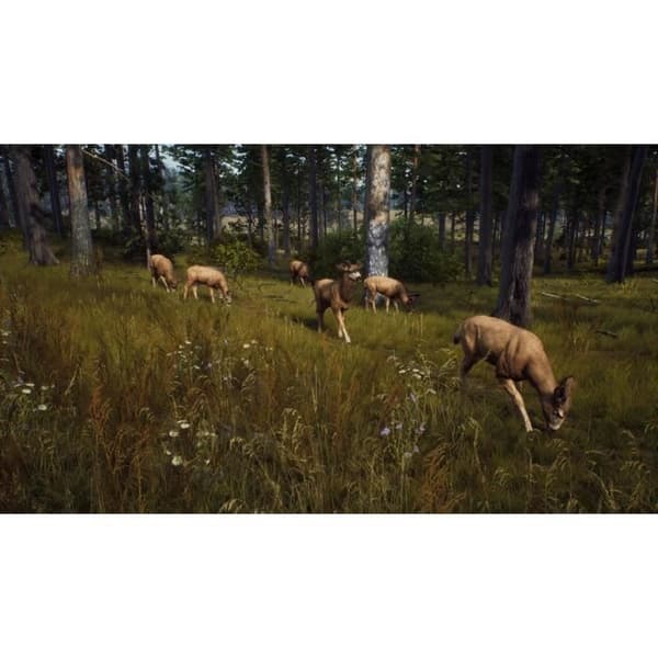Way of the Hunter PS5-spel