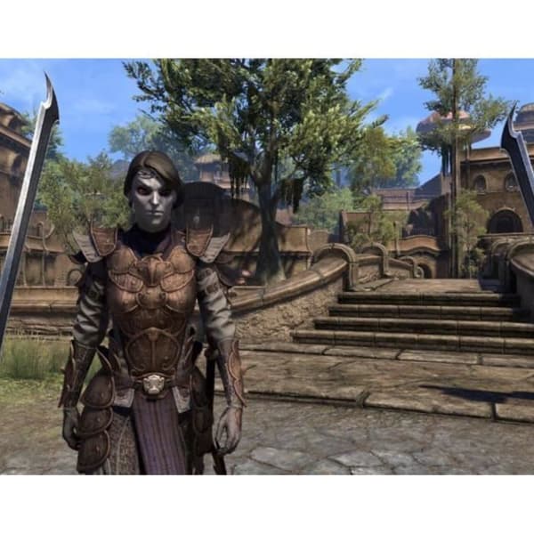 Rollspel - The Elder Scrolls - Morrowind (PS4) - Standard Edition - Boxed - Unga vuxna - MMO