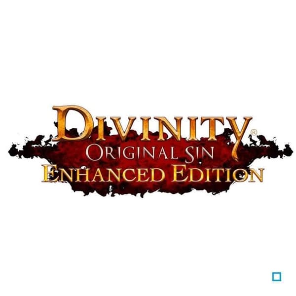 Divinity Original Sin Enhanced Edition PS4-spel- USED