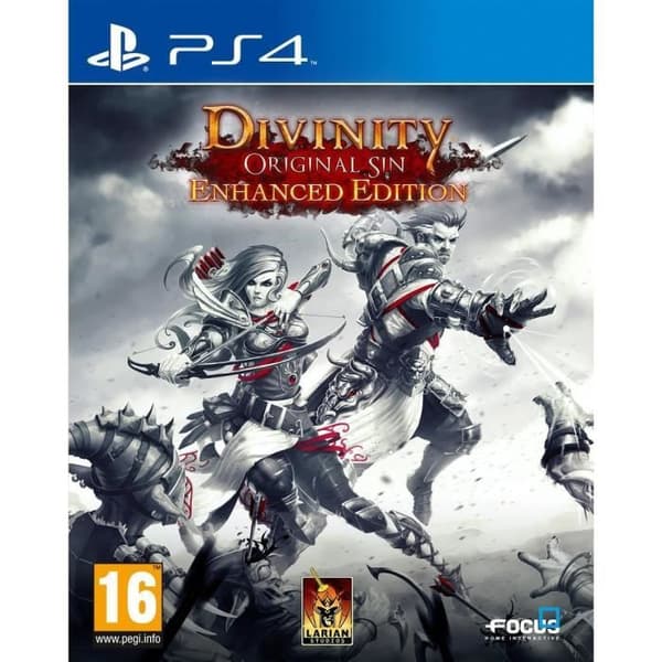 Divinity Original Sin Enhanced Edition PS4-spel- USED