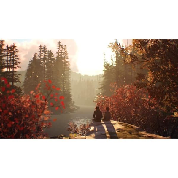Life is Strange 2 PS4-spel