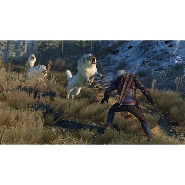 The Witcher 3: Wild Hunt - Årets utgåva