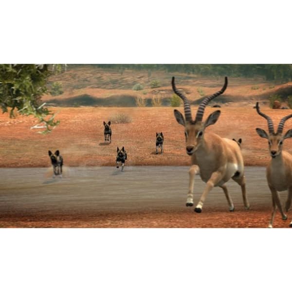 Afrika Playstation 3 PS3 IMPORT (Brugt)