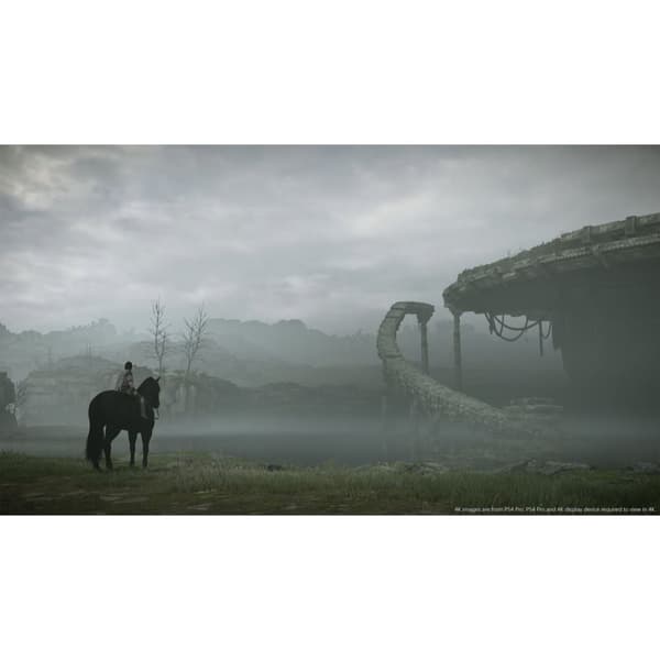 Shadow of the Colossus Playstation 4 PS4 (Käytetty)