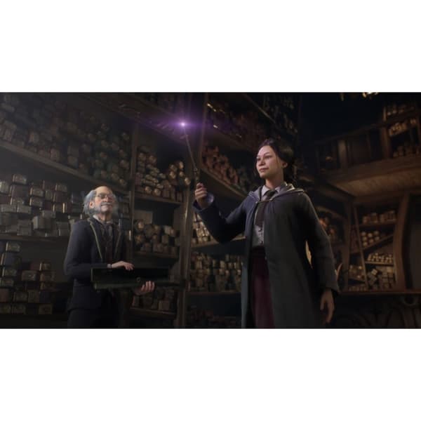 Hogwarts Legacy Playstation 4 PS4