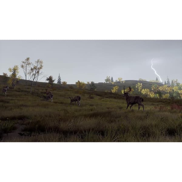 Way of the Hunter Wild Expeditions Xbox Series X