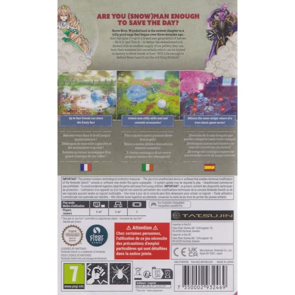 Snow Bros Wonderland Nintendo Switch