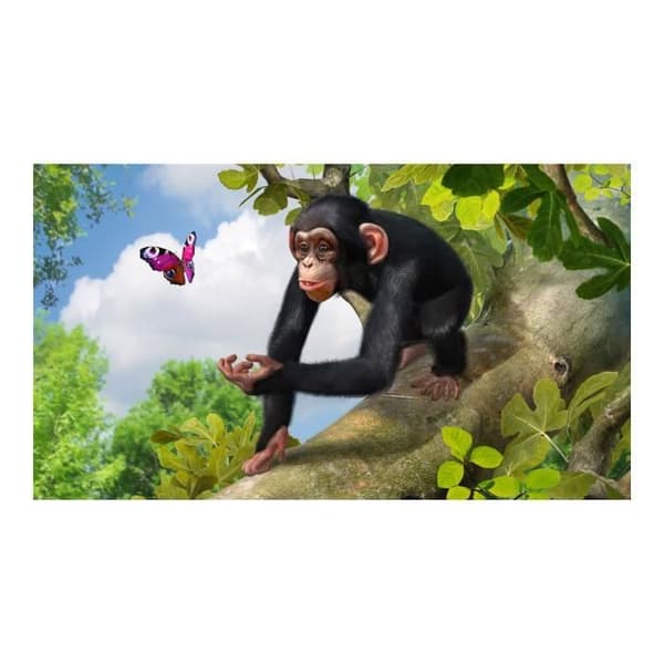 Zoo Tycoon 2: Zookeeper Collection Win CD (DVD-fodral) Tyska Tyskland