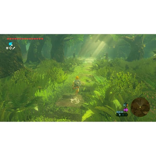 Bärbar spelkonsol Nintendo TLOZ BOTW NS2E