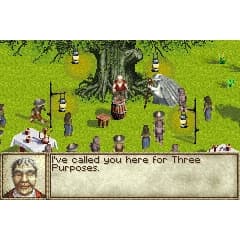 The Lord of the Rings The Fellowship of the Ring Gameboy Advance (Begagnad)