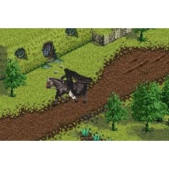 The Lord of the Rings The Fellowship of the Ring Gameboy Advance (Begagnad)