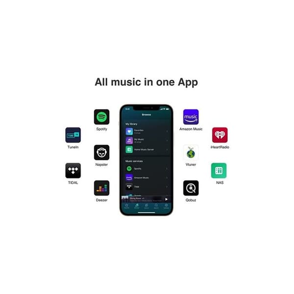 WiiM Mini
