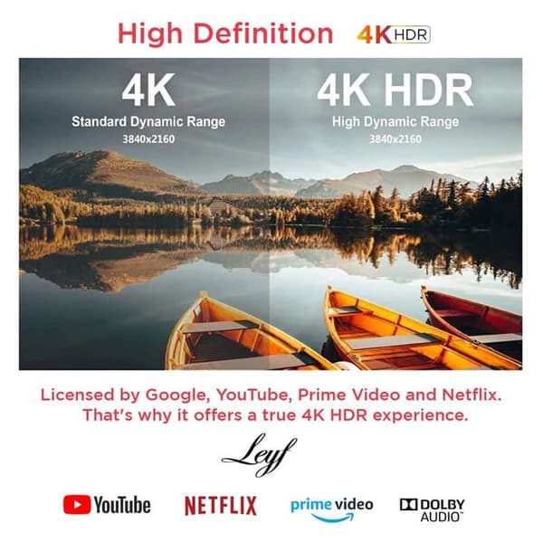 Mediastreamer - multimediabox Leyf