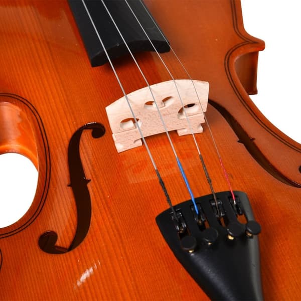 Rootz 4/4 Violin Set i fuld størrelse - Øvelse af violin - Begynderens violin - Spruce og ahorn - 58,5 cm x 21,5 cm x 7cm