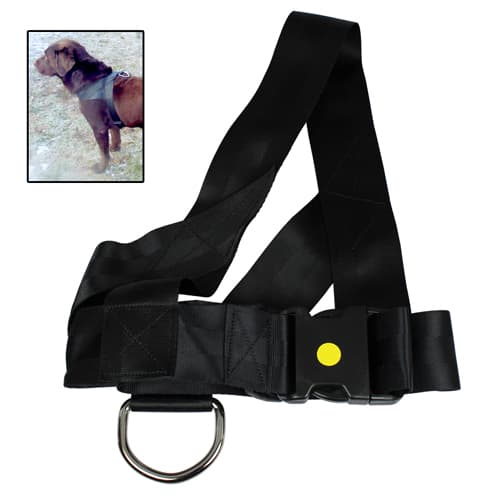 Dog Security Hetssele skyddshund Dog Security polyester, svart, 80 cm