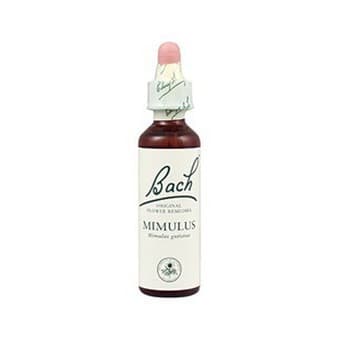 Bach 06 Cherry Plum 20ml