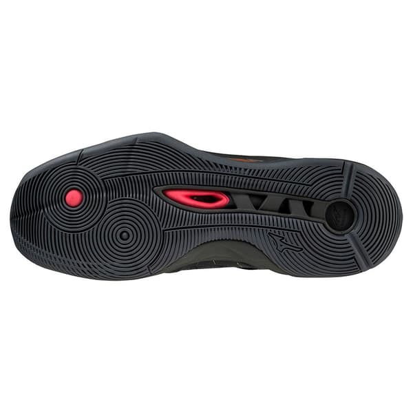 Mizuno Lentopallokengät Wave Momentum 2 Musta EU 37 Mies