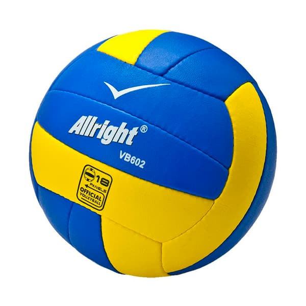VOLLEYBALL PRO TRAIN VB602