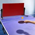 Miniatyrbillede 2 af 5: Bordtennis Rebound Board, Selvtræningsudstyr, 360° Justerbar Vinkel, God Resiliens
