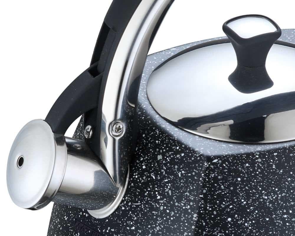 Vattenkokare med en visselpipa Klausberg 2.2L KB-7412