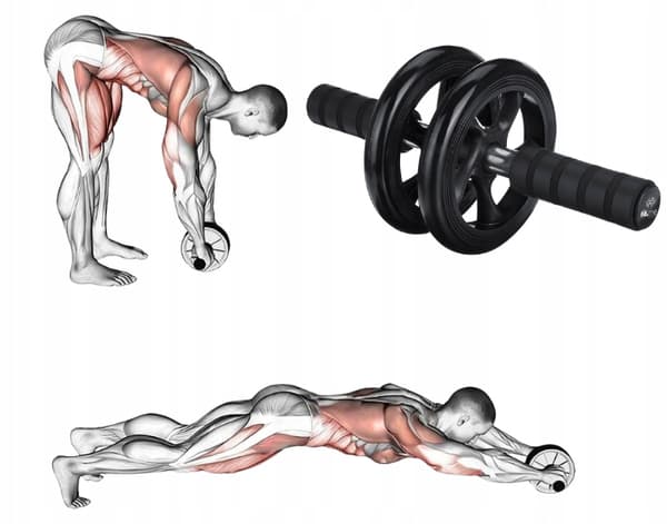 ABS ROLLER FIT.ME