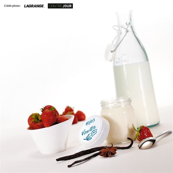 LAGRANGE - Yoghurtmaskin 439 101