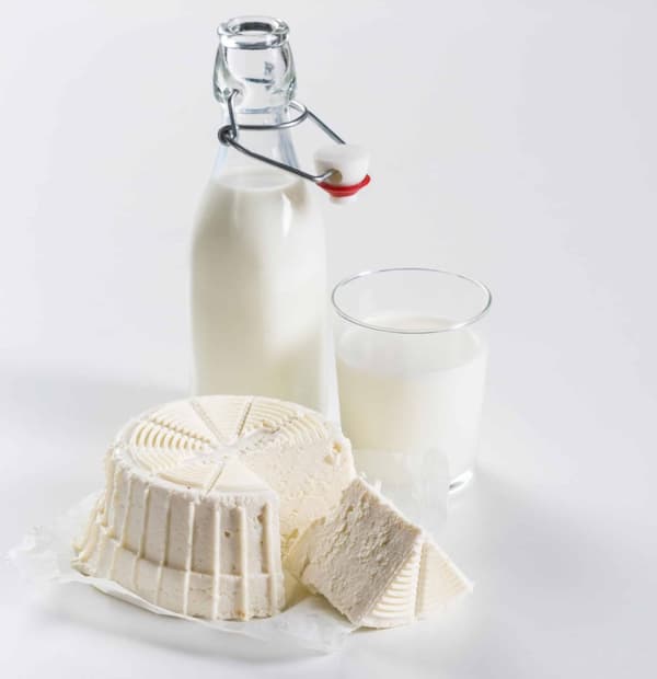 Börner Ostmakare, Ostmakare Käse Förbered färskost Receptbok ostset Gör den själv