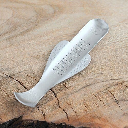 Alessi Ingefära Rivjärn, Stål, Silver, 18,5 x 5,7 x 1,8 cm - VS06