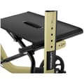 Miniatyrbild 3 av 8: Uniprodo Rullator Harmony - champage - 136 kg