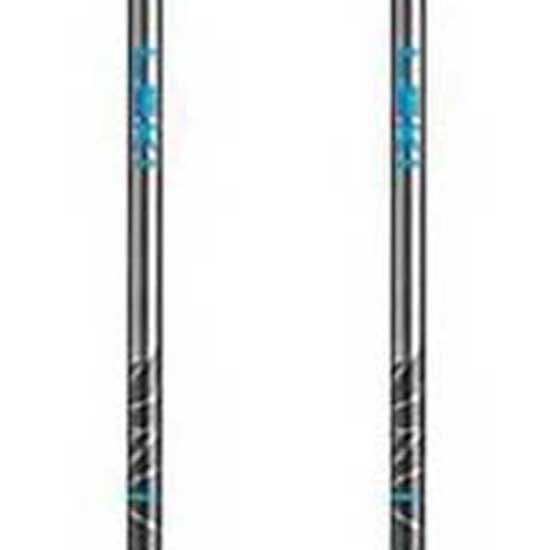 Leki Puolalaiset Legacy Harmaa 110-145 cm
