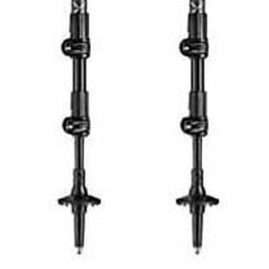 Leki Puolalaiset Legacy Harmaa 110-145 cm