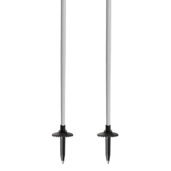 Salewa Polacker Puez Aluminum Silver