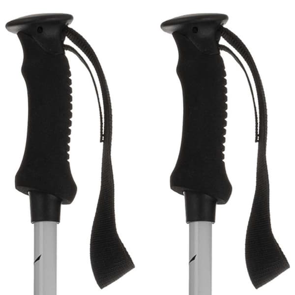 Salewa Polacker Puez Aluminum Silver