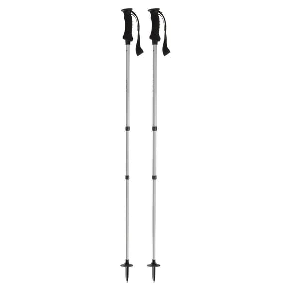 Salewa Polacker Puez Aluminum Silver