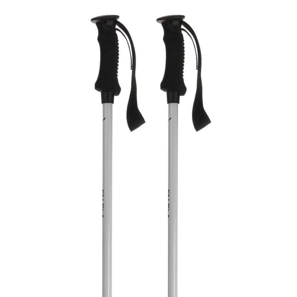 Salewa Polacker Puez Aluminum Silver