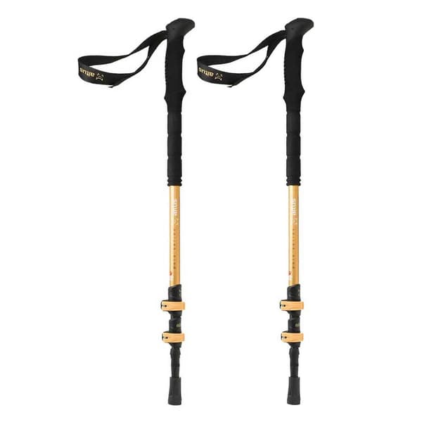 Altus Stænger Boj Gylden 65-130 cm