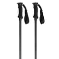 Miniatyrbillede 1 af 6: Salewa Polakker Puez Aluminum Pro Sort