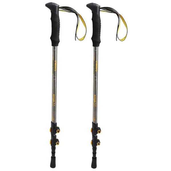 Altus Pylväät Roble Hopeinen 65-135 cm